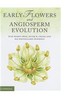 Early Flowers and Angiosperm Evolution