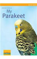 My Parakeet