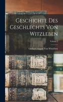 Geschichte Des Geschlechts Von Witzleben; Volume 2