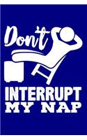 Don't Interrupt My Nap