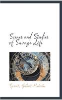 Scenes and Studies of Savage Life