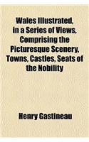 Wales Illustrated, in a Series of Views, Comprising the Picturesque Scenery, Towns, Castles, Seats of the Nobility