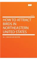 How to Attract Birds in Northeastern United States