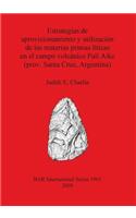 Estrategias de aprovisionamiento y utilización de las materias primas líticas en el campo volcánico Pali Aike (prov. Santa Cruz, Argentina)