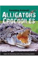 Alligators and Crocodiles