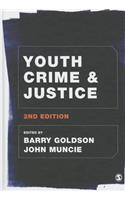 Youth Crime and Justice