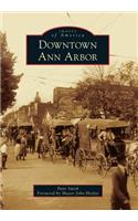Downtown Ann Arbor