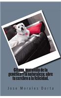 Gitana, maravilla de la genética y la naturaleza; abre tu cerebro a la felicidad.
