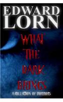 What the Dark Brings