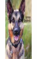 GERMAN SHEPHERDS A5 DIARY 2021