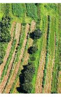 Arable Land Journal
