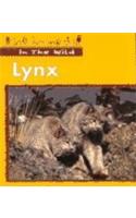 Lynx