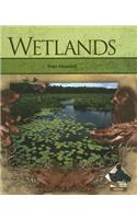 Wetlands