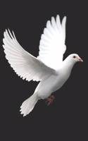 Pigeon Notebook