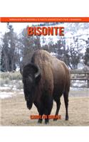 Bisonte