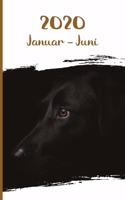 Kalender 2020: Labrador Retriever Hunde Tageskalender 1. Halbjahr Januar Juni ca DIN A5 weiß über 190 Seiten