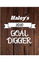 Haley's 2020 Goal Digger