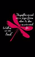 Dragonflies are sent as a sign from above to show us we are cared for to tell us we are loved