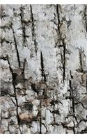 2020 Daily Planner Tree Bark Dry Cracked Photo 388 Pages
