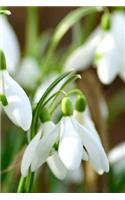 Snowdrop Notebook