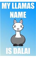My Llamas Name Is Dalai