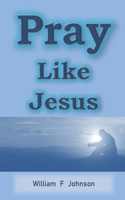 Pray Like Jesus: How you can become more effective in prayer(1 Ministry of Jesus)