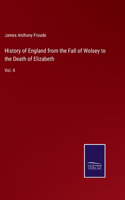 History of England from the Fall of Wolsey to the Death of Elizabeth