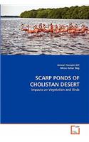Scarp Ponds of Cholistan Desert