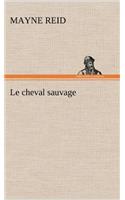 cheval sauvage