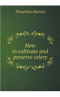 How to cultivate and preserve celery