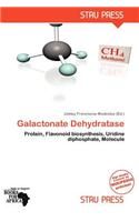 Galactonate Dehydratase: (English)