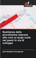 Resilienza delle piccolissime imprese alle crisi su larga scala nei paesi in via di sviluppo