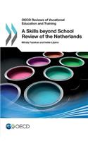 OECD Reviews of Vocational Education and Training A Skills beyond School Review of the Netherlands