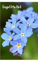 Forget Me Not.