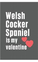 Welsh Cocker Spaniel is my valentine: For Welsh Cocker Spaniel Dog Fans