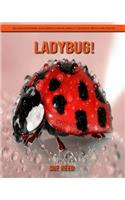 Ladybug! An Educational Children's Book about Ladybug with Fun Facts