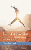 Stori am Brwydro: best book in Welsh Language