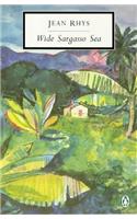 Wide Sargasso Sea (Penguin Twentieth Century Classics)