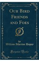 Our Bird Friends and Foes (Classic Reprint)