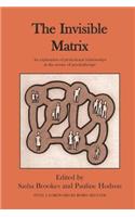 The Invisible Matrix