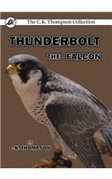 Thunderbolt the Falcon