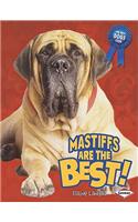 Mastiffs Are the Best!