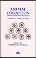 Animal Cognition