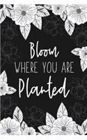 Bloom Where You Are Planted
