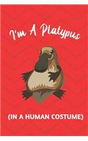 I'm A Platypus (In A Human Costume)