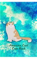 American Curl Cats Rock