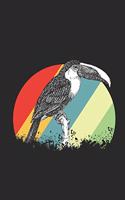 Toucan