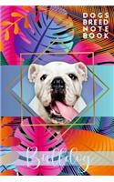 Bulldog