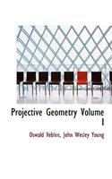 Projective Geometry Volume I