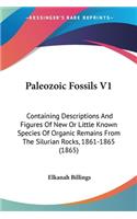 Paleozoic Fossils V1: Containing Descriptions And Figures Of New Or Little Known Species Of Organic Remains From The Silurian Rocks, 1861-1865 (1865)